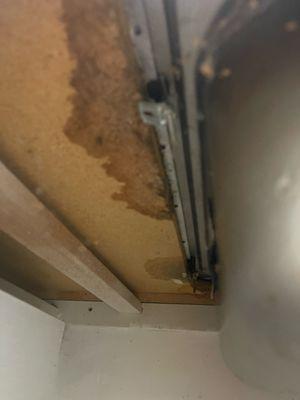 Water leak and wood falling apart under sink in the kitchen.