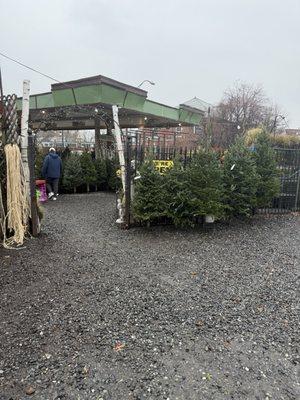 Ricky's Flower Market