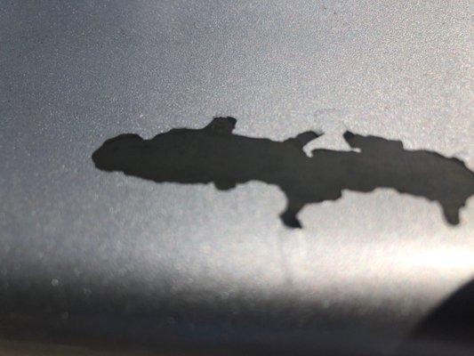 Viverette's Paint & Body Shop