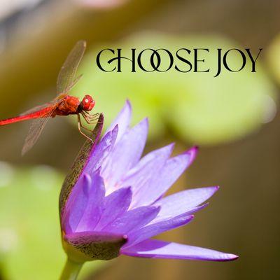 Dr. Sophia Lin Ott, PsyD, BCC, RYT-500