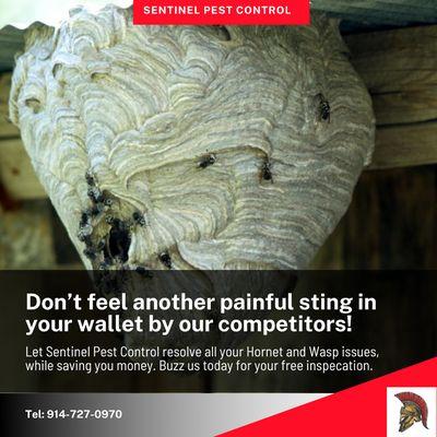 Sentinel Pest Control