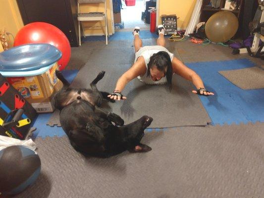 World Instructor Training Schools