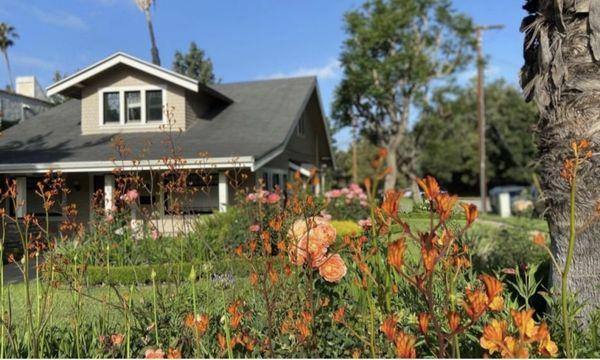 Alexandra Gaty Psychotherapy