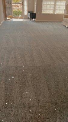 Guevara Cleaning Service