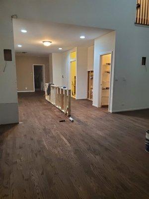 Pazyryk Carpet & Flooring