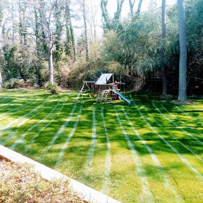 All-Pro Lawn and Landscaping LLC