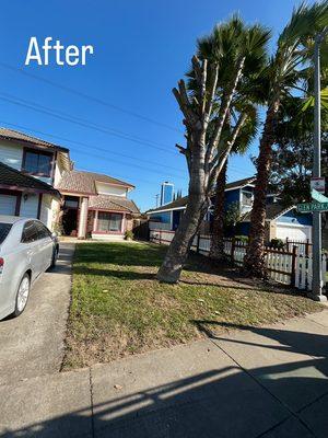 Macias Landscaping & Paving