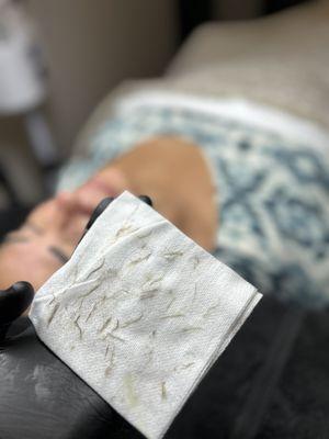 Within Reach Beauty by Mariah