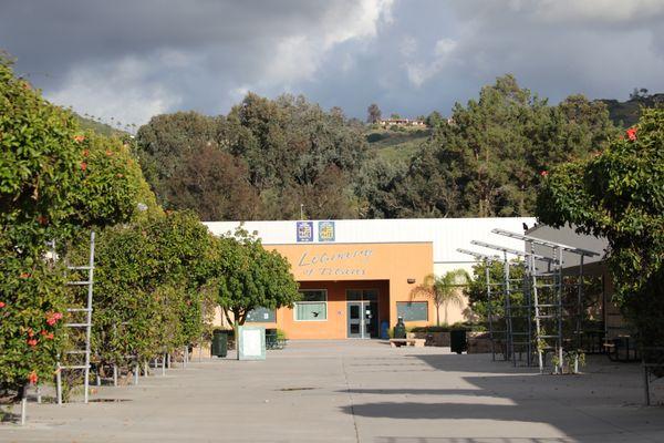 Looking down the science hall decorated with luscious greenery onto the PHS Library.