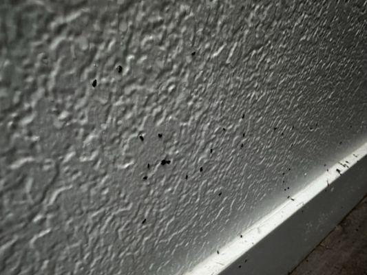 Pavilion Apartment Homes by Prime Residential