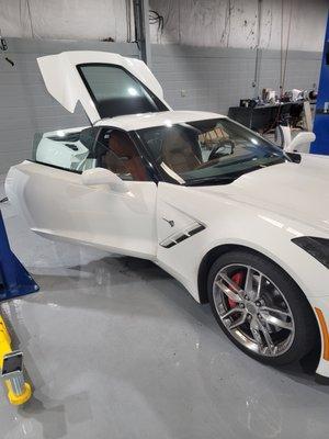 Master Odor Removal - Athens