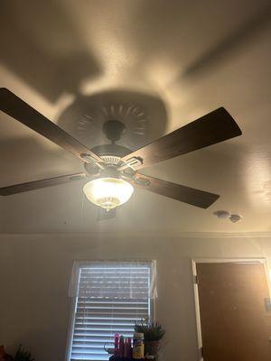 Dusty fan