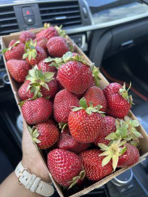 Saephan’s Strawberry Patch