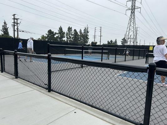Beautiful Pickleball courts