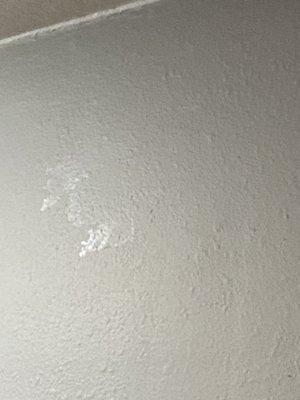 Quality Ceiling Refinishing