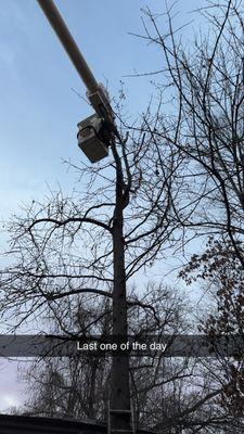 Will Squared Tree Service