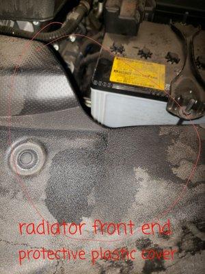 Radiator/front end protective plastic cover