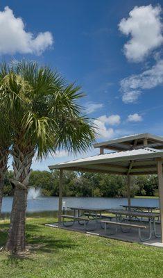 Shelter at Carrollwood Village Park.