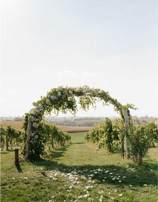 Vineyard arch supplemented with greenery and flowers