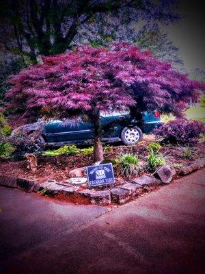 Oxford Lawn Maintenance & Landscaping