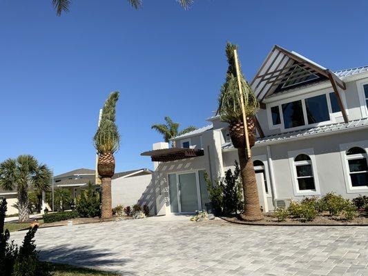 Florida Plant & Tree