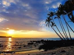 Chris Benetos - Coldwell Banker Real Estate