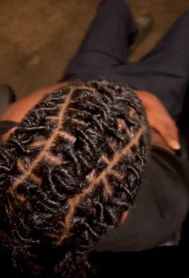 The Nyaa Rose Effect