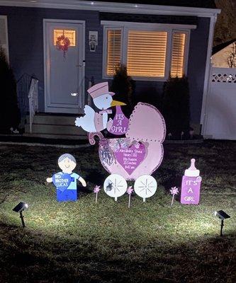 Bundle Of Joy Stork Rentals