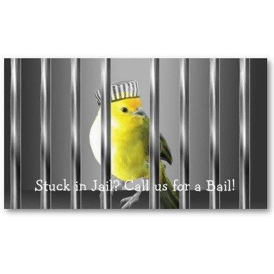 Dominique Bail Bonds