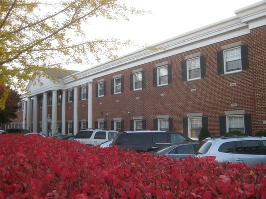 NY PAPA Acupuncture in Great Neck
