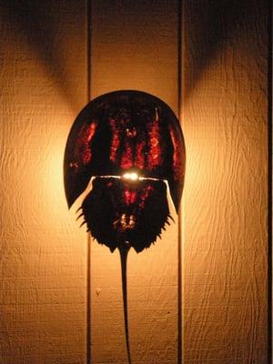 custom horseshoe sconce for beach house. WOW.
