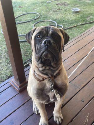 Paradise Beauty Supply & Salon