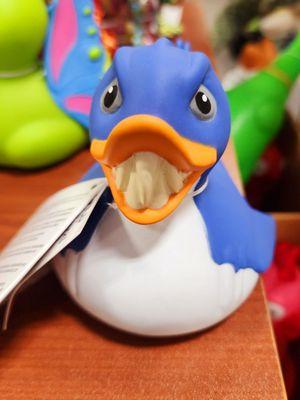Shark Duck