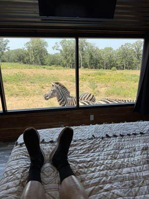 Coble Highland Ranch