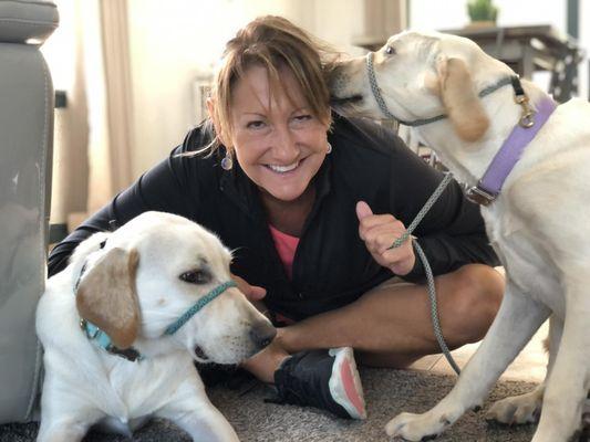 Mr Bill's Bark Brigade