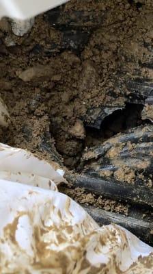 Chris Prince Fencing