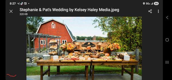 Another wedding we did cocktail hour and pizza truck for main event.