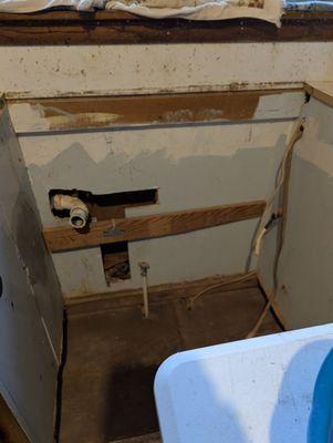 The Designated Handyman