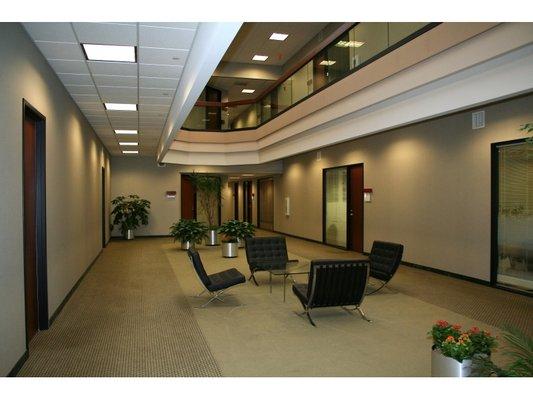 expo carpet cleaning