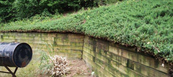 Better Care Landscaping