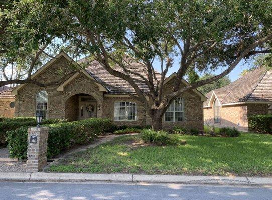 Culture Tree Trimming