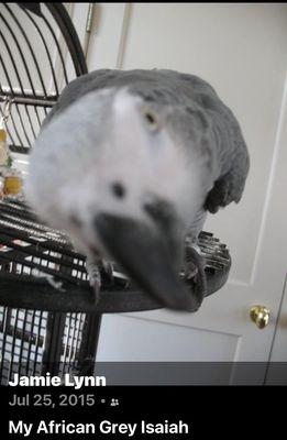 Creature Comforts Animal Hospital