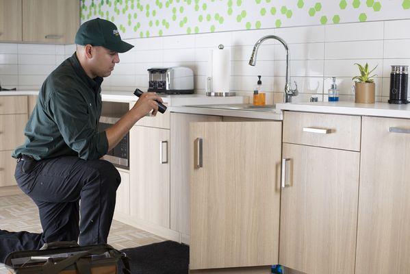 Roy's Pest Control & Tree Service