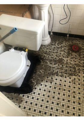 Expert Plumbing Solutions
