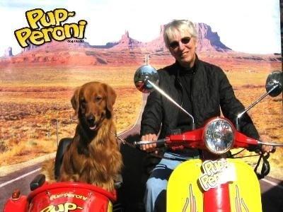 Best Friends Dog Training