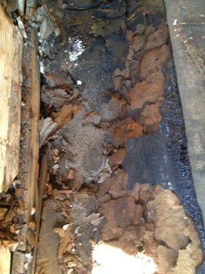 Private I. Home Inspections