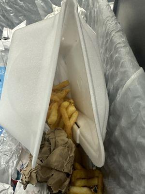 Trash worthy  Stale Cold Fried in old grease  JUST HORRIBLE  NEVER AGAIN  Sick of WASTING MY MONEY