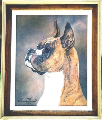 Simone Farley Pet Portraits