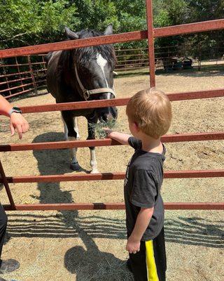 Blessings Ranch of Central Texas