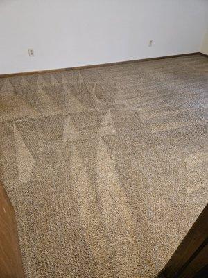 Full House Carpet Cleaning